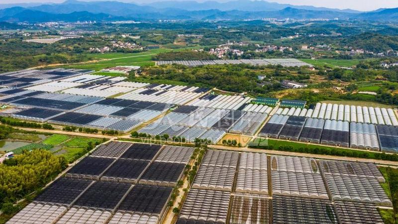 省级现代农业示范区建设规范：打造高效农业新标杆