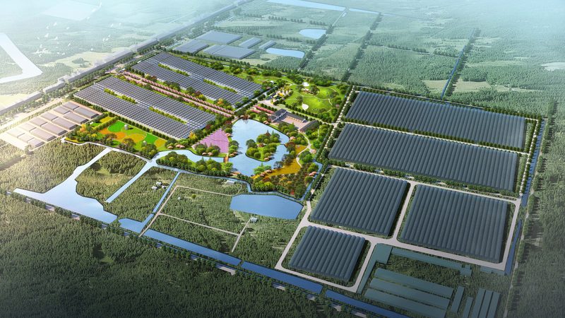 水果种植合作社投资回报周期解析
