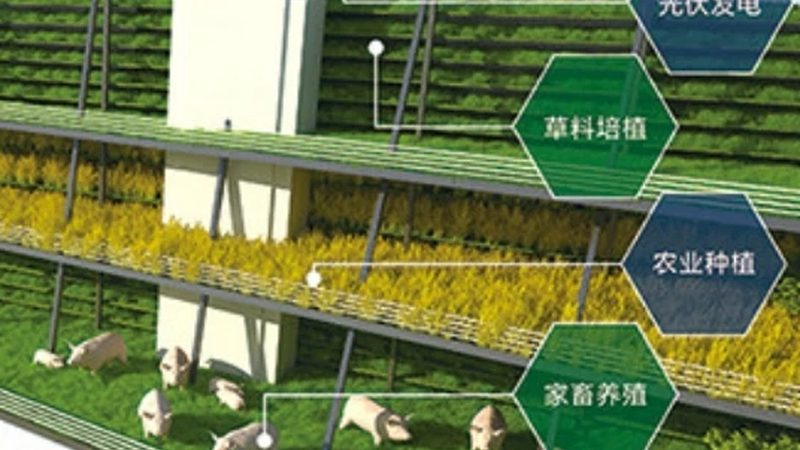 生态农业示范基地建设：关键步骤与注意事项**