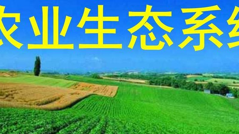 大棚保温被：如何选择优质产品，保障农业生产效率**