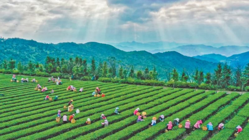 合作社补贴申请时间：关键节点与注意事项