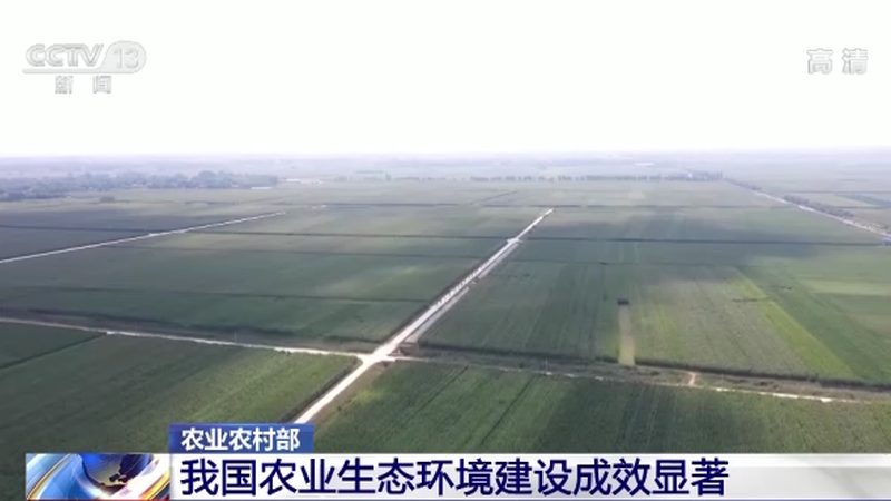 农产品配送软件：如何选择适合的“物流大脑