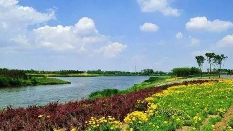休闲农业项目哪个好