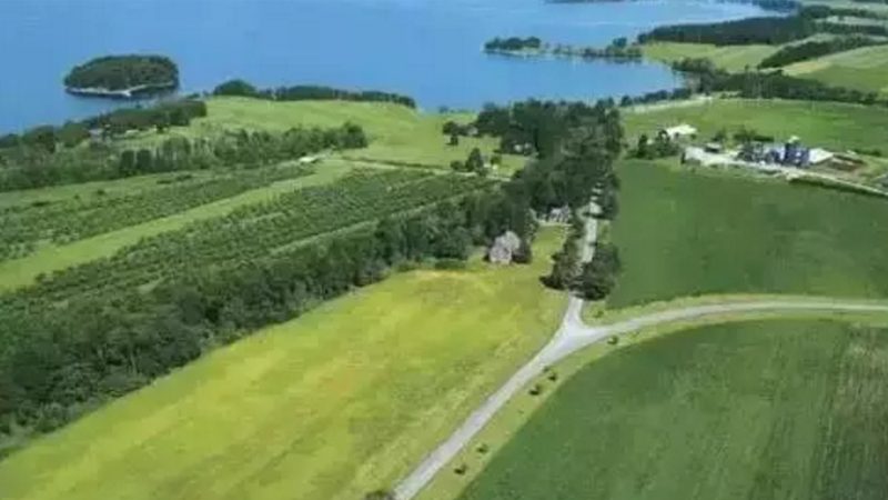 果蔬配送中心标准化建设：从粗放运营到系统管控
