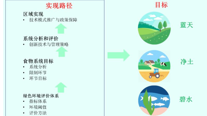 有机蔬菜与有机水果：种类解析与区别要点