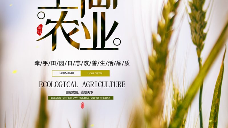 食品企业绿色认证流程解析：从田间到餐桌的绿色守护